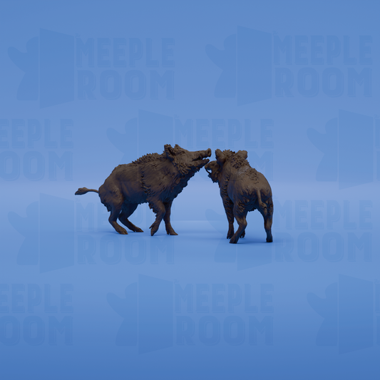 1-24_WildBoar-Fight_03_back.png