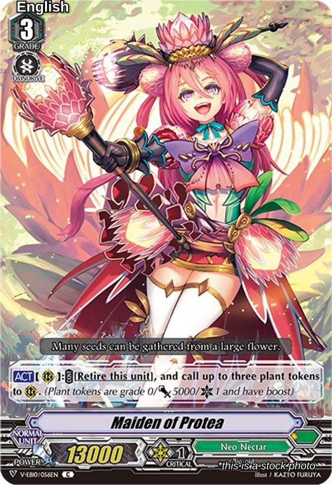 Maiden of Protea