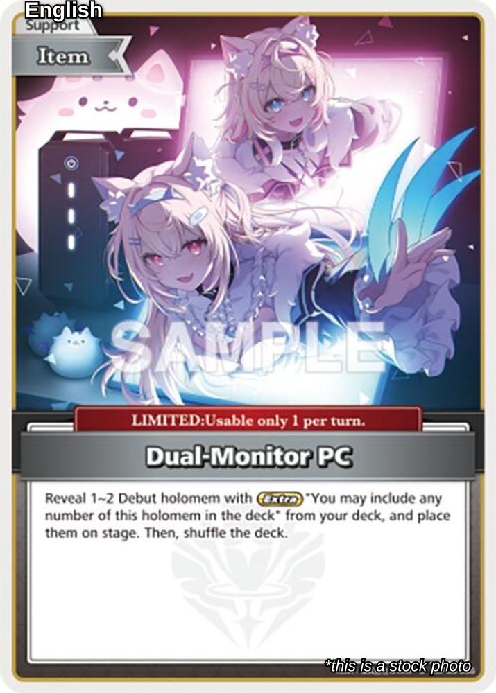 Dual-Monitor PC (C)