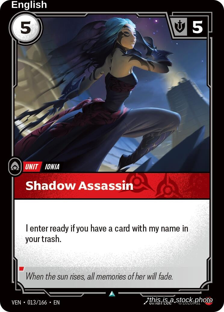 Shadow Assassin
