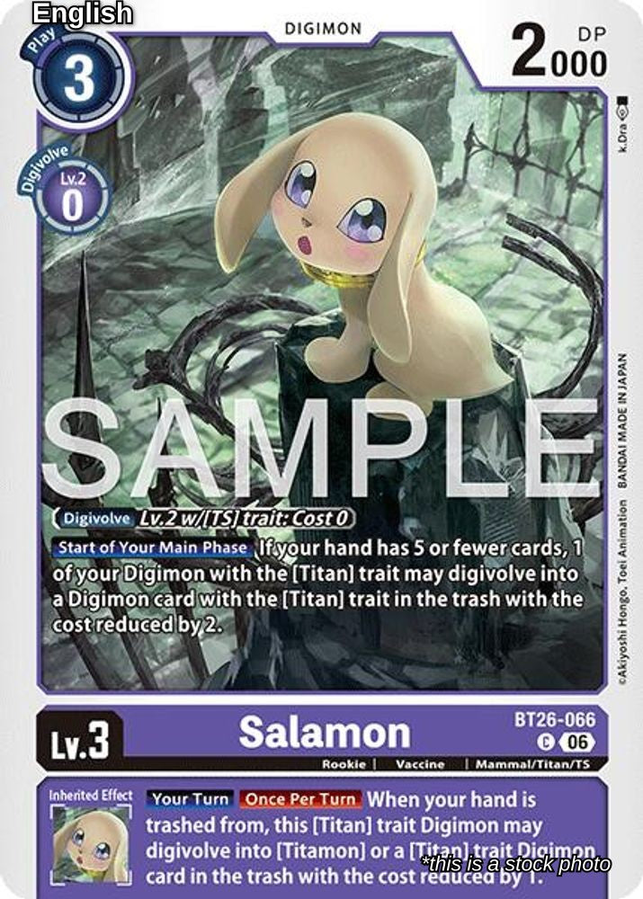 Salamon