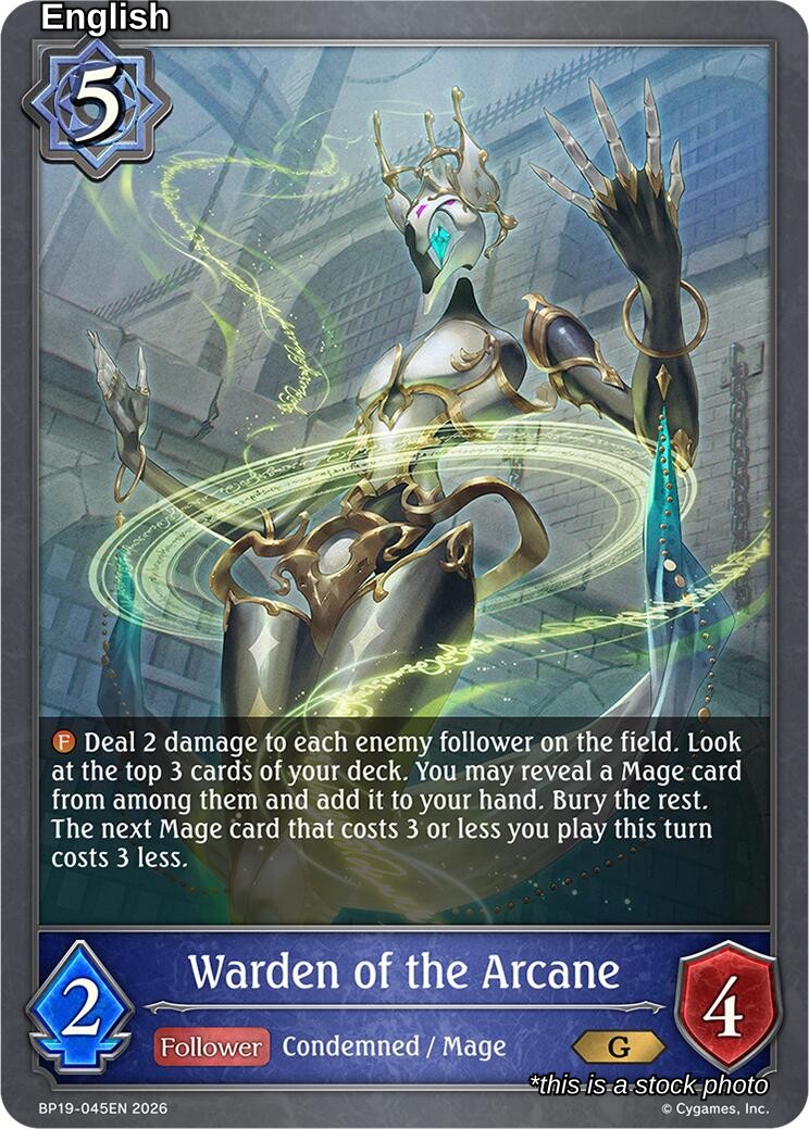 Warden of the Arcane