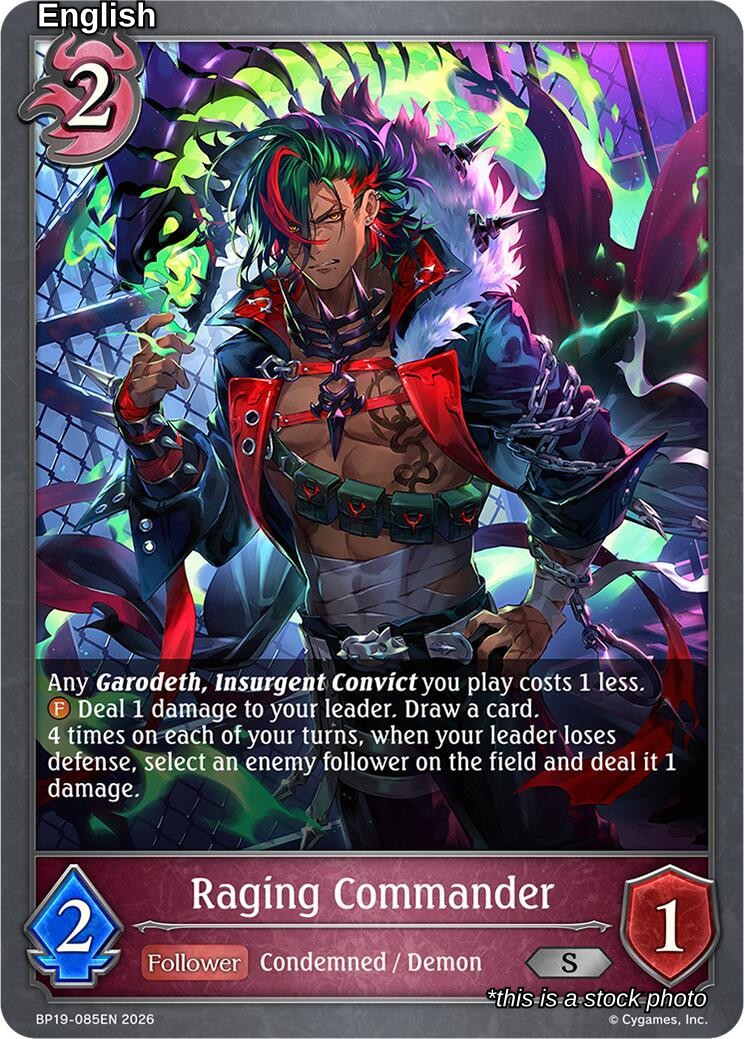 Raging Commander