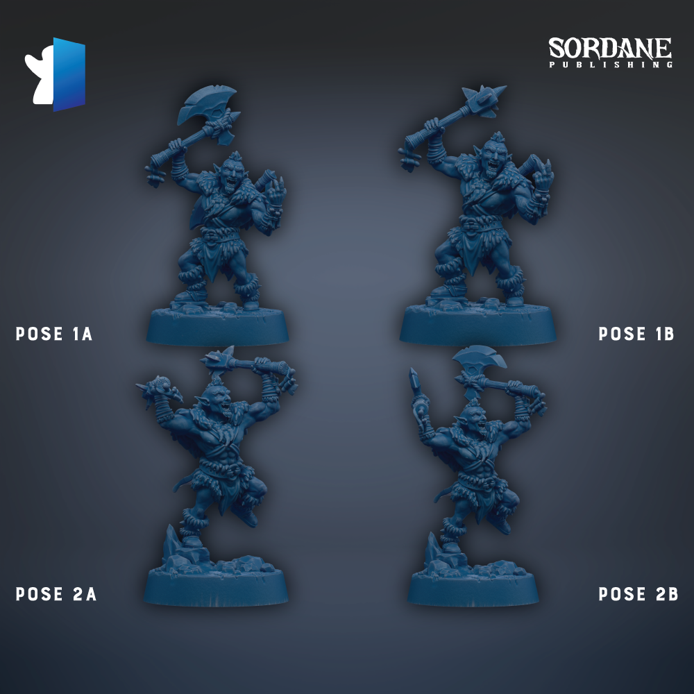 four blue figurines of fantasy characters, each with different poses, arranged in a grid-like pattern against a dark background.