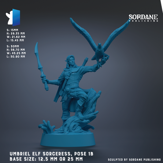 The image is a figurine of an elf-like character, possibly a wizard or magical being, posed with a bird and holding a staff. The figurine is blue in color and appears to be made of a material that resembles stone or metal. The figurine is described as being of size 12.5 mm or 25 mm, and it is published by Sordane Publishing.