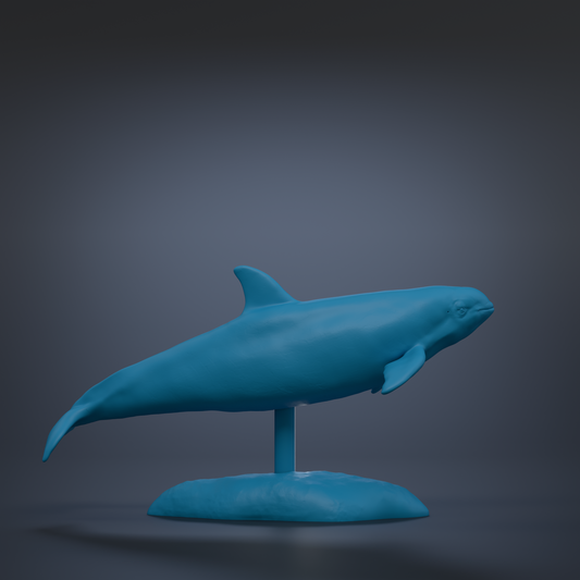 A blue plastic model of a dolphin is displayed on a blue base against a dark background.