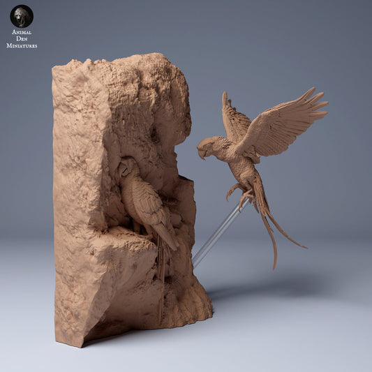 Scarlet Macaws by Animal Den | Please Read Description