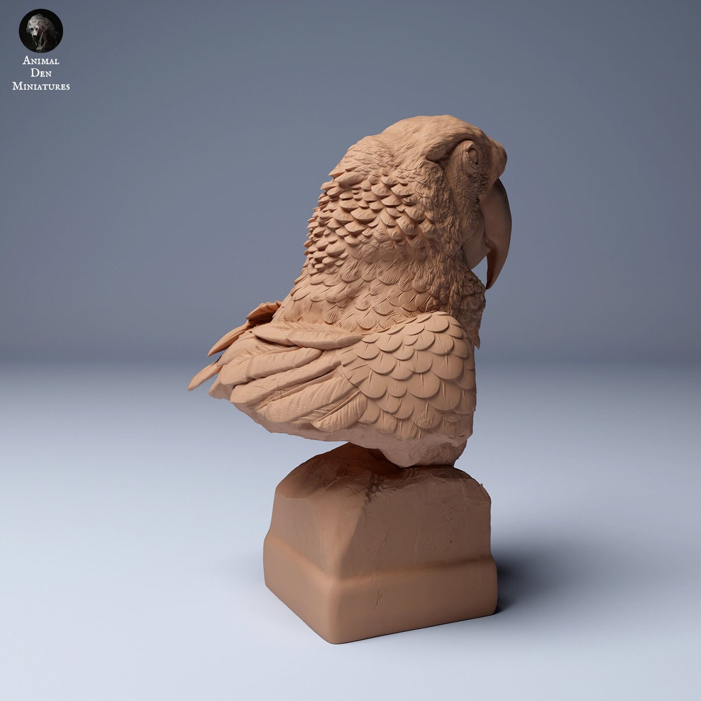 Scarlet Macaws by Animal Den | Please Read Description