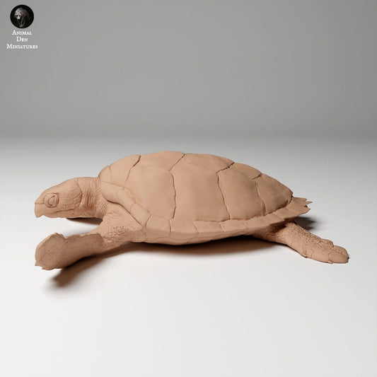 Hawkbill Sea Turtle 1:16 by Animal Den | Please Read Description