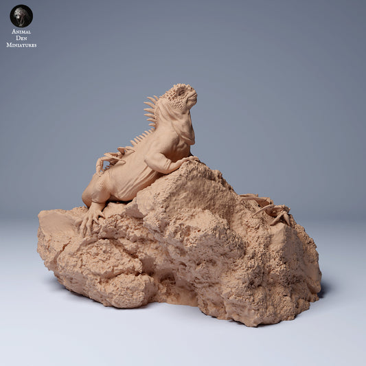 Marine Iguana 1:16 scale by Animal Den Miniatures | Please Read Description | Print on Demand