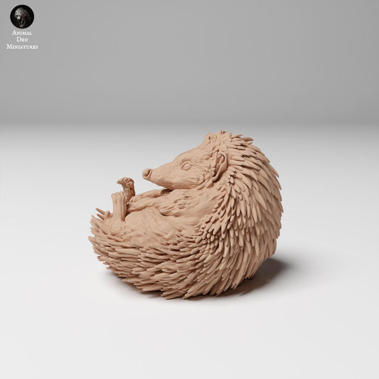 European Hedgehog 1:4 scale by Animal Den | Please Read Description | Print on Demand