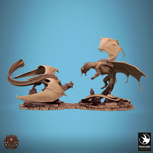 Black vs Silver Dragon Diorama by Rescale Miniatures | Please Read Description | Print on Demand