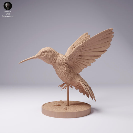 Broad-tailed Hummingbird 1:1 scale by Animal Den | Please Read Description | Print on Demand