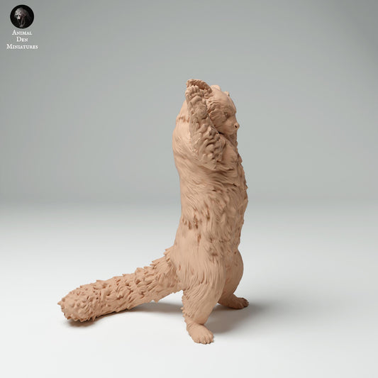 Red Panda 1:12 scale by Animal Den | Unpainted | Print on Demand | Use Code FREESHIP50