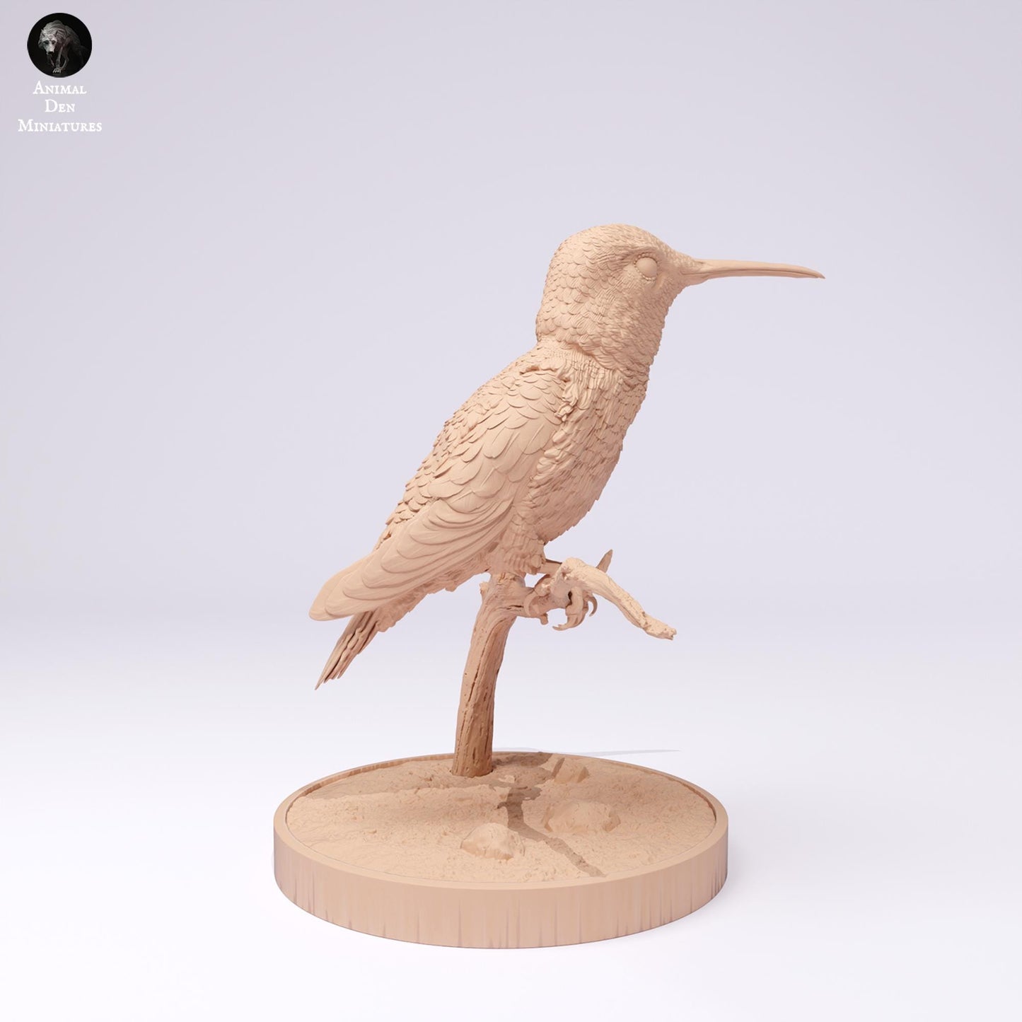 Broad-tailed Hummingbird 1:1 scale by Animal Den | Please Read Description | Print on Demand