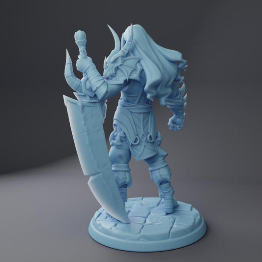 Caldormu, the Dragon Knight by Twin Goddess Minis | Unpainted | Print on Demand | Use Code FREESHIP50