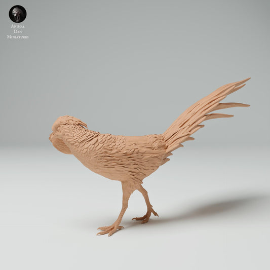 Golden Pheasant 1:8 scale by Animal Den | Unpainted | Print on Demand | Use Code FREESHIP50