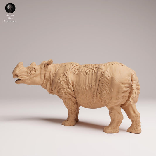 Sumatran Rhino 1:24 scale by Animal Den | Unpainted | Print on Demand | Use Code FREESHIP50
