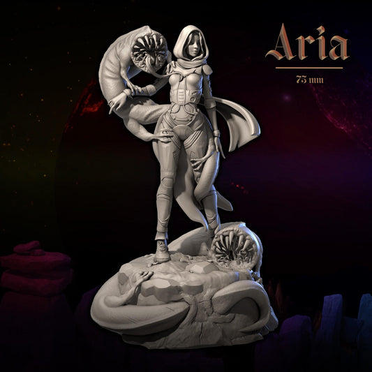 Aria by Dungeons and Maidens | Unpainted | Print on Demand | Use Code FREESHIP50
