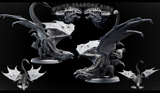 Young White Dragon by Mini Monster Mayhem | Unpainted | Print on Demand | Use Code FREESHIP50