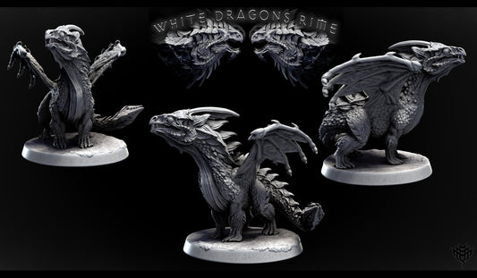 White Dragon Wyrmling by Mini Monster Mayhem | Unpainted | Print on Demand | Use Code FREESHIP50