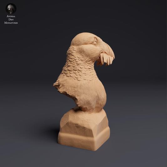Puffin Bust 1:2 scale by Animal Den | Unpainted | Print on Demand | Use Code FREESHIP50