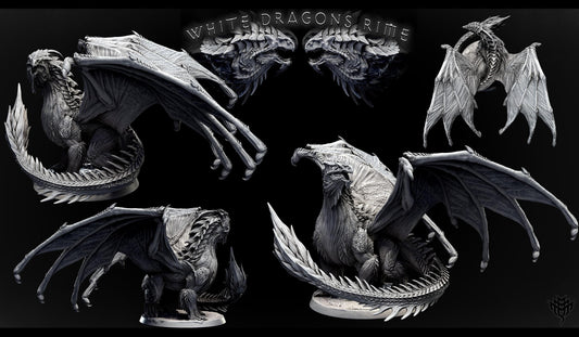 Adult White Dragon by Mini Monster Mayhem | Unpainted | Print on Demand | Use Code FREESHIP50
