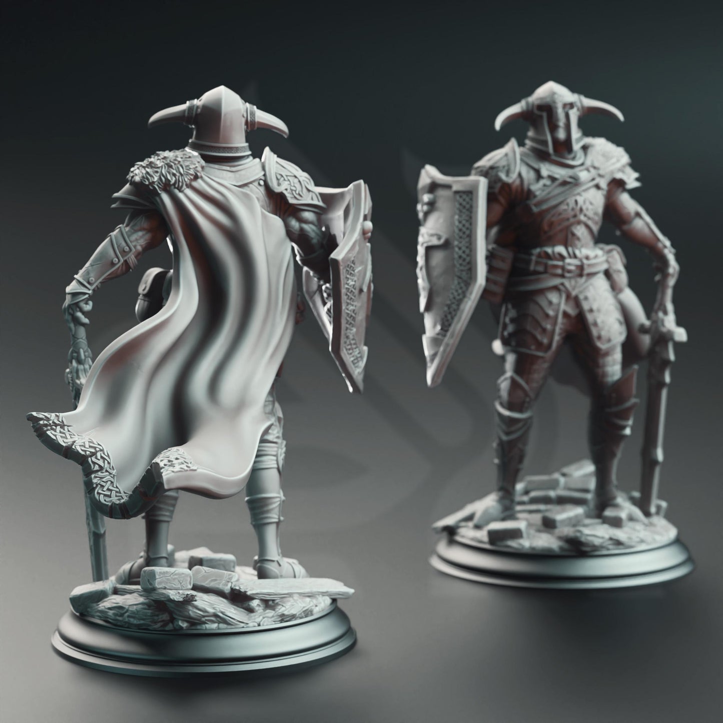 Lizarin, Champion of Renmaeth by DM Stash | Unpainted | Print on Demand | Use Code FREESHIP50