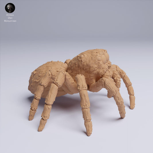 Jumping Spider 6:1 scale by Animal Den | Unpainted | Print on Demand | Use Code FREESHIP50