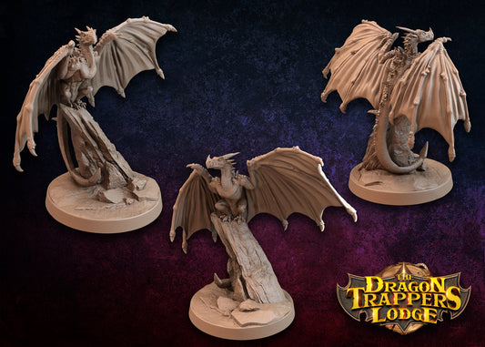 Ingmar (Human Paladin) by Dragon Trappers Lodge | Unpainted