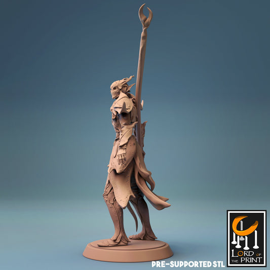 Elven Spearmen by Rescale Miniatures | Unpainted