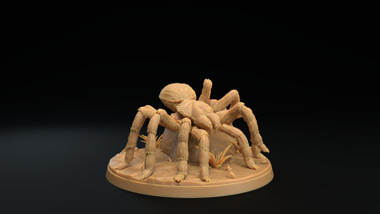 Huge Tarantulas by Dragon Trappers Lodge | Unpainted