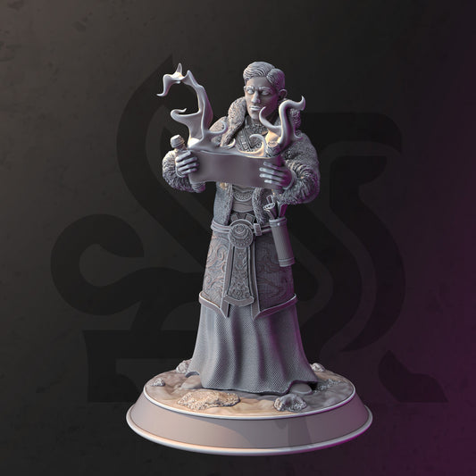 Darius Burrows, Cleric of Cehelieth by DM Stash | Unpainted