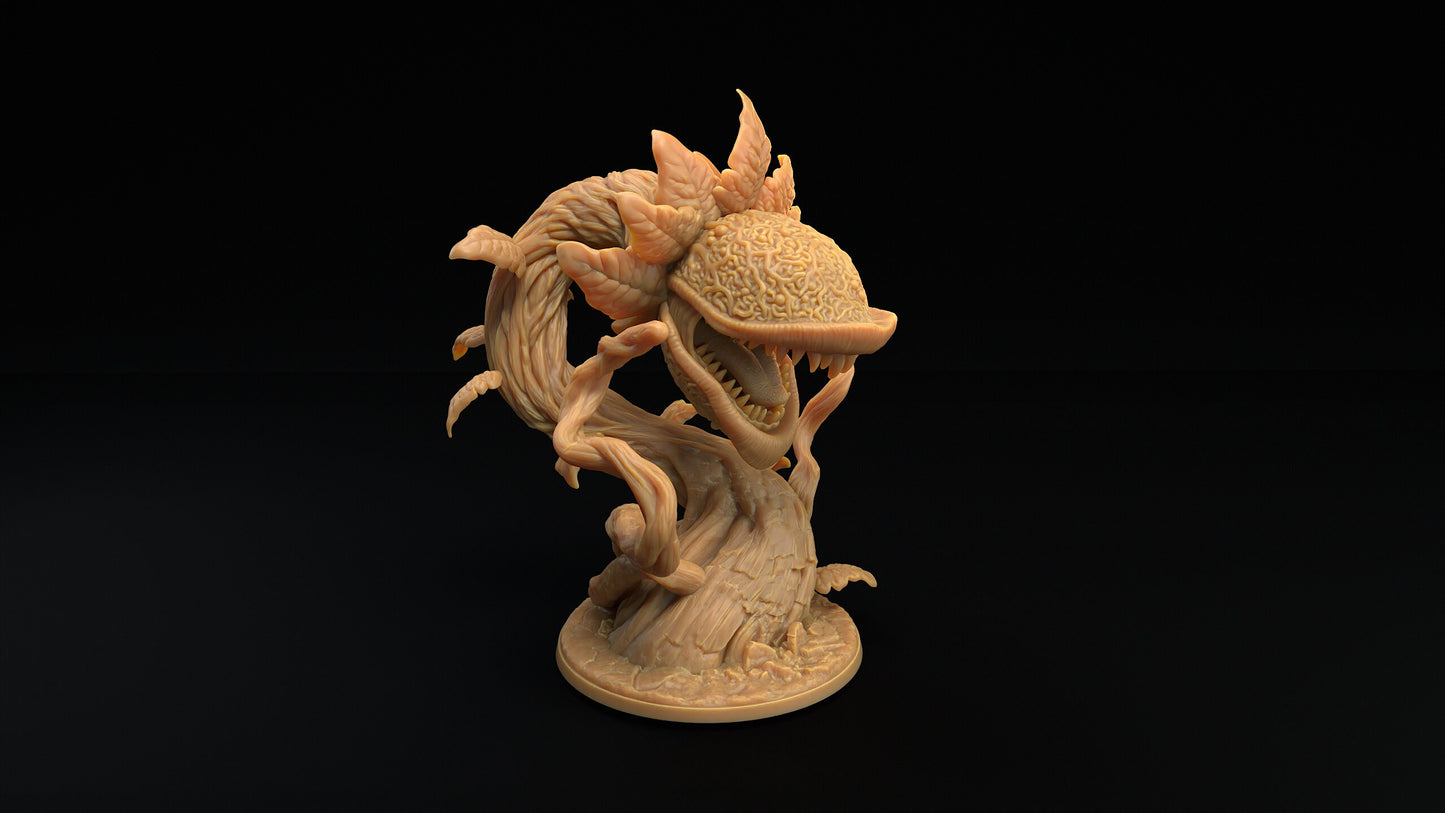 Carnivorous Plants by Dragon Trappers Lodge | Unpainted