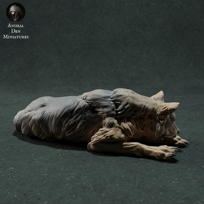 Iberian Wolves 1:16 Scale Model by Animal Den