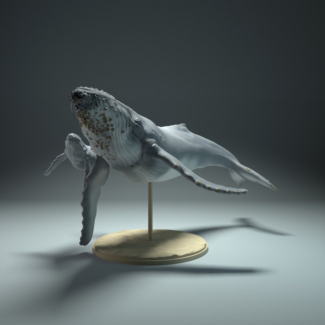 Humpback Whale 1:100 Scale Model by Animal Den