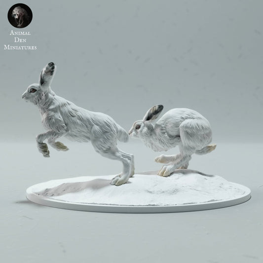 Artic Hare 1:16 Scale Model by Animal Den Miniatures | Please Read Description
