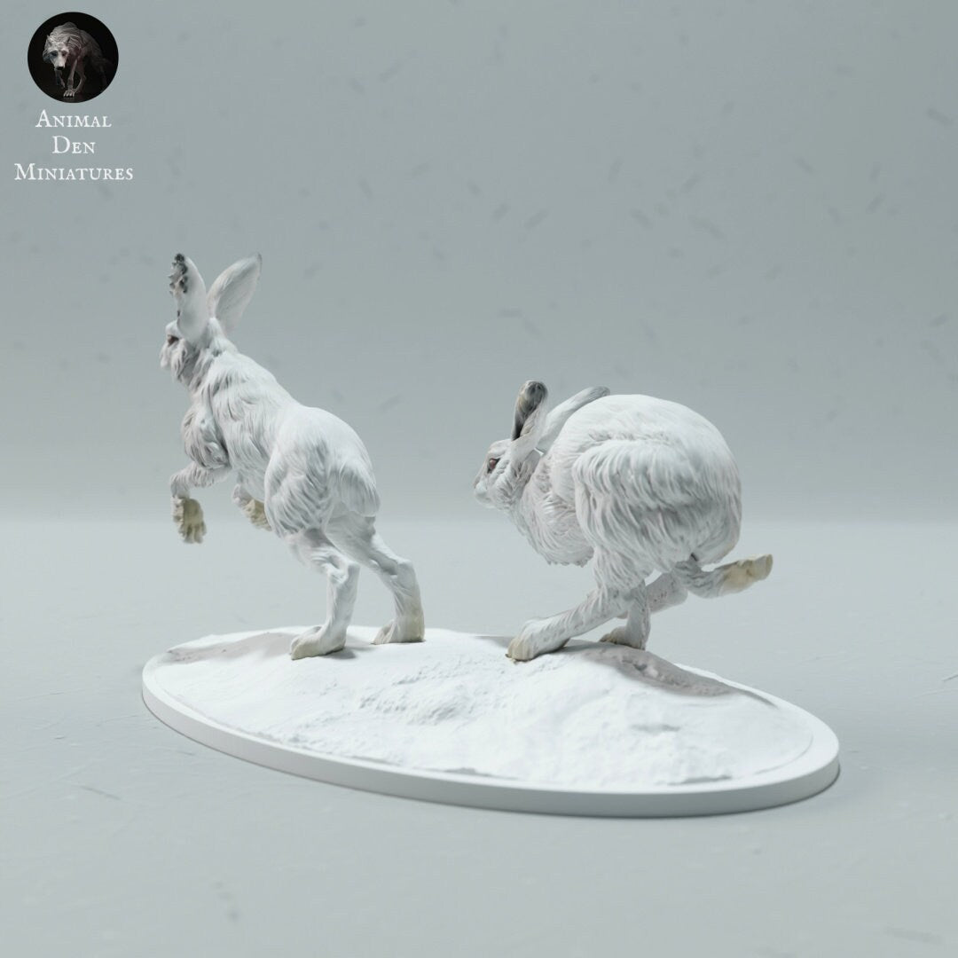 Artic Hare 1:16 Scale Model by Animal Den Miniatures | Please Read Description