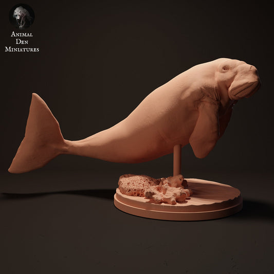 Dugong 1:24 scale by Animal Den | Please Read Description