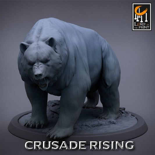 Wild Templar Bears by Lord of the Print | Please Read Description