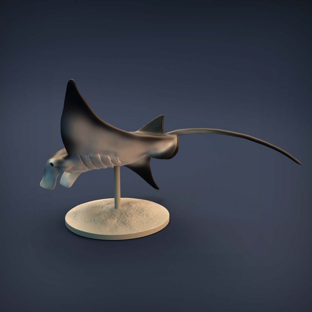 Manta Ray by Animal Den | Please Read Description