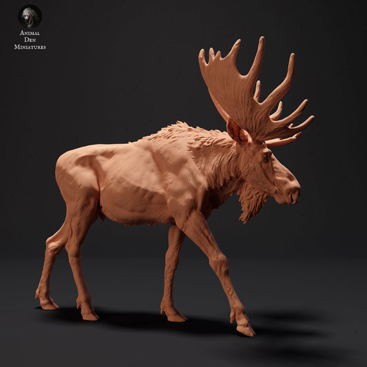 Moose, 1:24 scale by Animal Den Miniatures | Please Read Description
