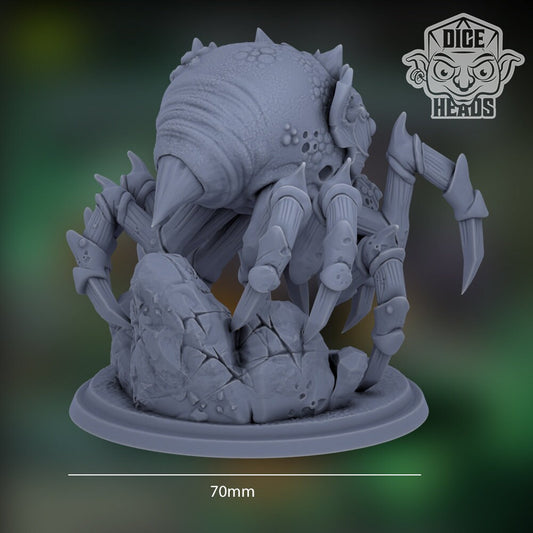 Spiders by Dice Heads | Please Read Description