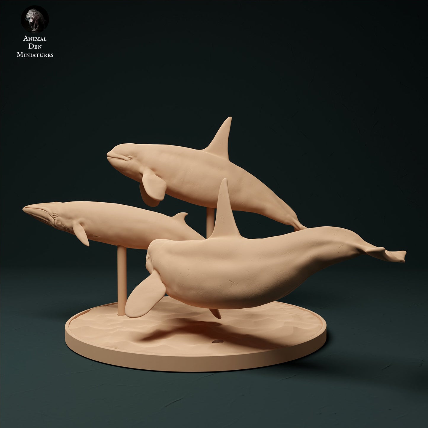 North Atlantic Killer Whale hunting Minke Whale 1:100 scale by Animal Den | Please Read Description