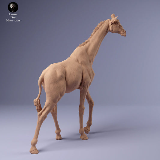 Rothschild Giraffes 1:24 scale by Animal Den | Please Read Description