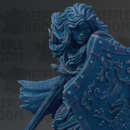 A detailed 3D rendering of a female warrior figure, with intricate blue armor and flowing hair, holding a sword and shield.