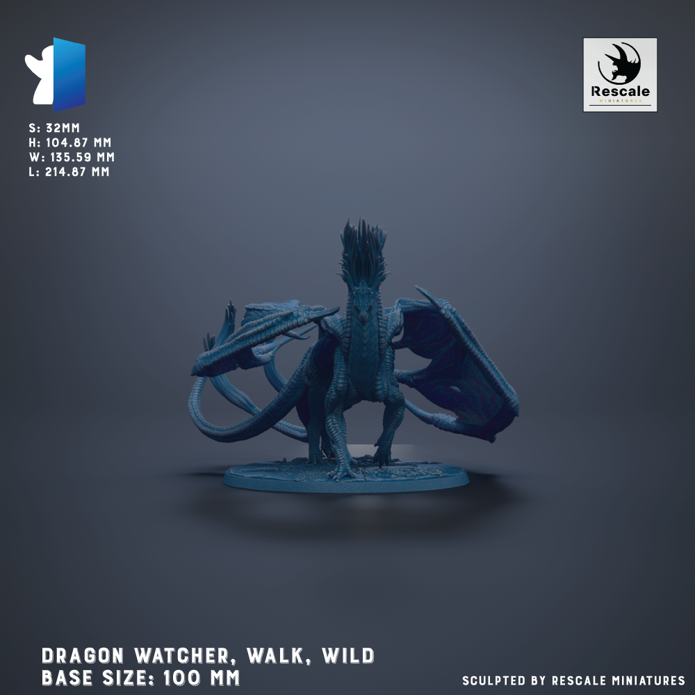 The image is a 3D model of a dragon catcher, specifically a Dragon Watcher, which is a type of fantasy minifigure used in role-playing games. The dragon catcher is depicted in a crouched position, ready to catch a dragon. The image is a 3D rendering of the Dragon Watcher, and it is shown against a dark background. The base sizes of the dragon catcher are 100 mm.