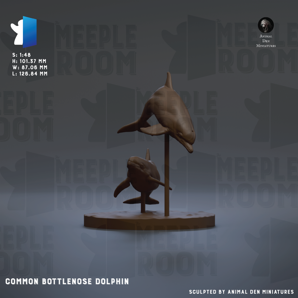 a sculpture of a Common Bottlenose Dolphin, a type of dolphin, displayed on a pedestal.