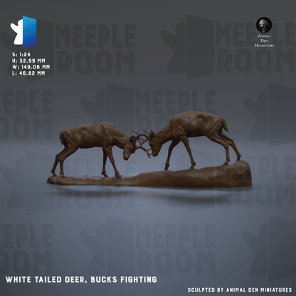 two white-tailed deer engaged in a fight, with their antlers clashing against each other.