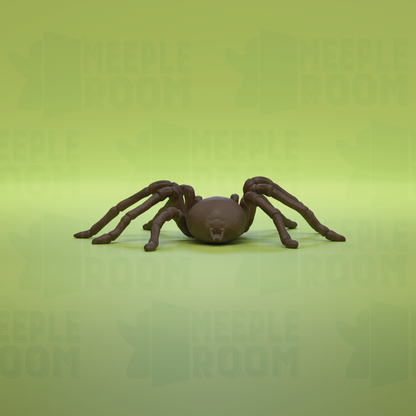1-2_GoliathBirdeater_PoseStand_03_back.png